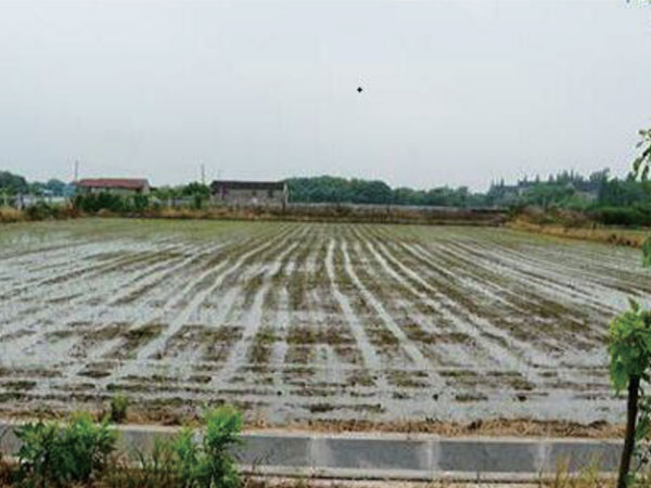 生態(tài)基地